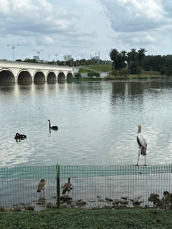 Putrajaya Wetlands Park - Image 2