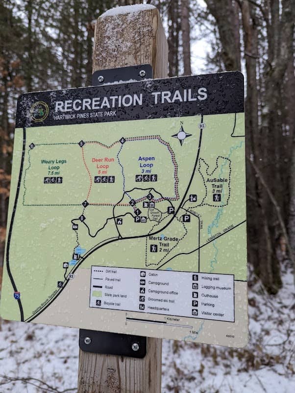 Hartwick Pines State Park - Image 3