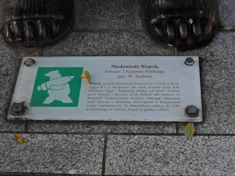 Monument The Bear Wojtek - Image 2
