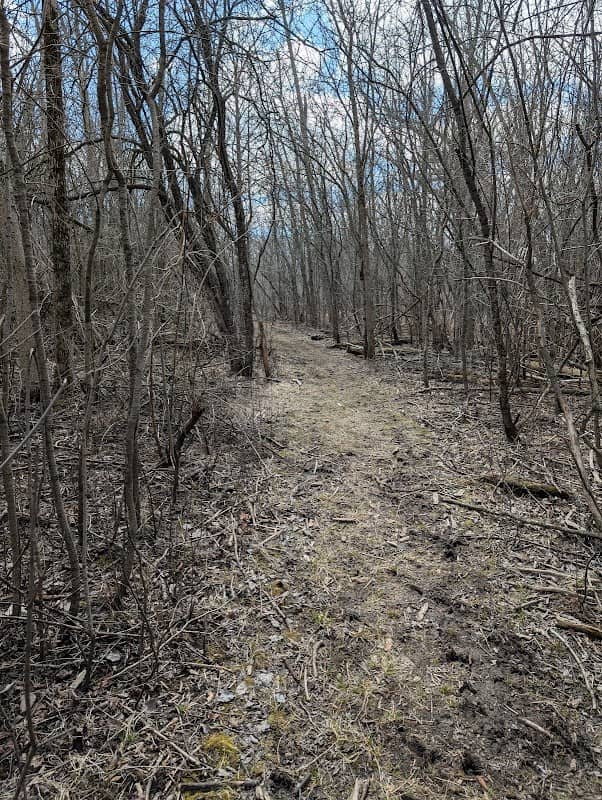River Forest Nature Preserve - Image 2