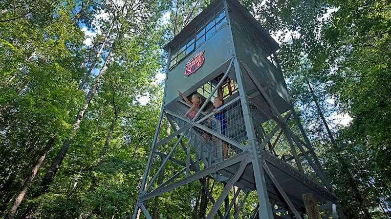 Clemmons Educational State Forest - Image 2