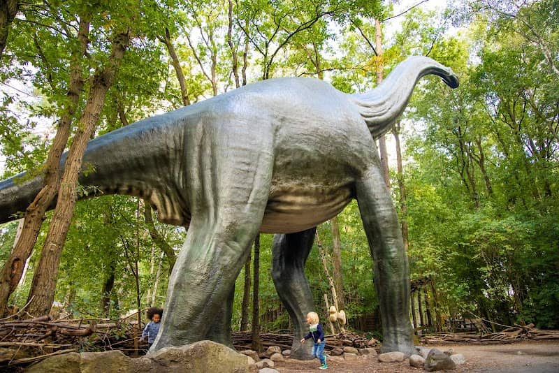 Dinobos | DierenPark Amersfoort - Image 2