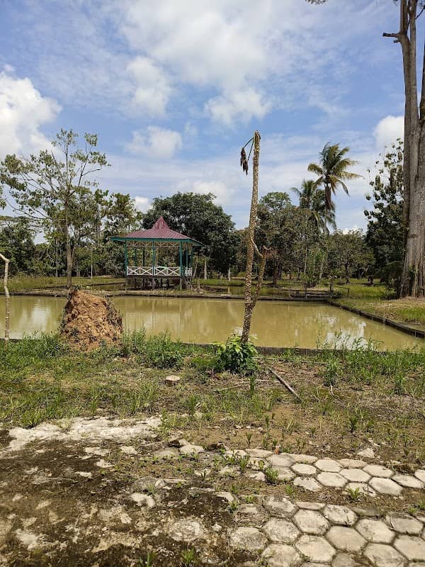 Kolam Pemancingan ( Obyek Wisata) - Image 1