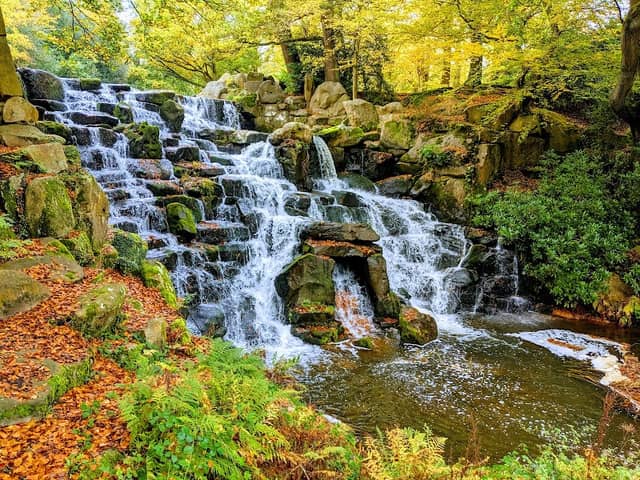 Royal Landscape - Image 2