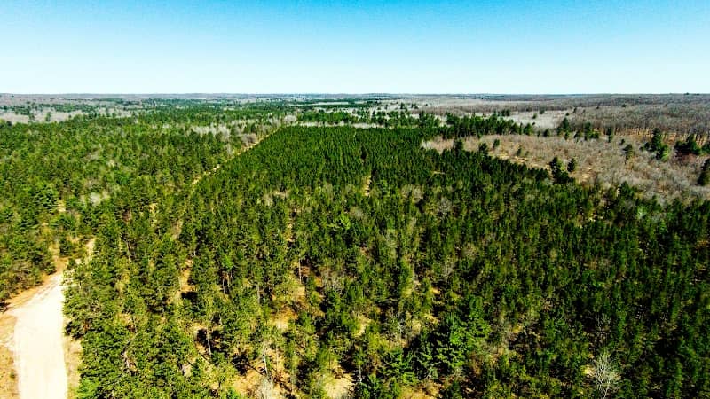 South Fork Barrens State Natural Area - Image 2