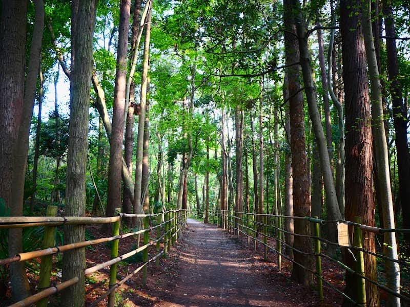 粟野の森 - Image 1