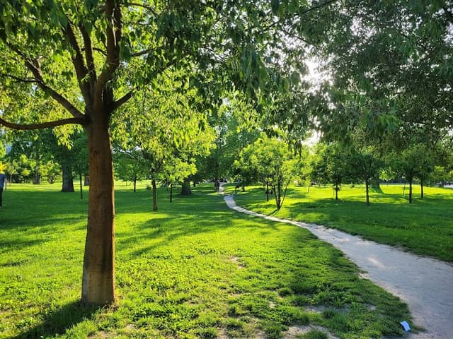 Limanski Park - Image 2