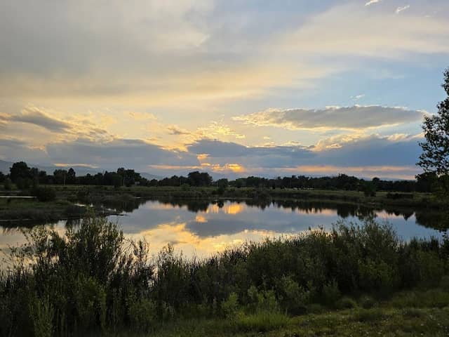 City of Longmont Rogers Grove Park - Image 3