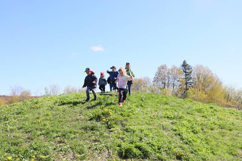 Parc Mady - Image 2