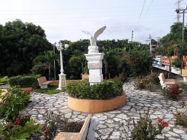 Parque - Image 1