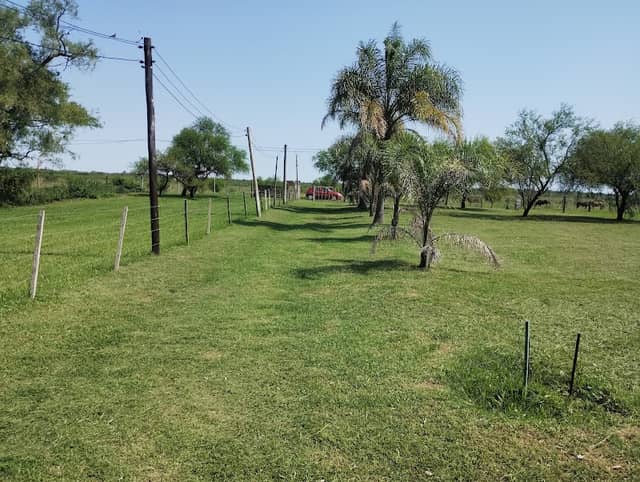 Mantenimiento de predios,casa quintas y mas,en arroyo leyes y alrededores - Image 1