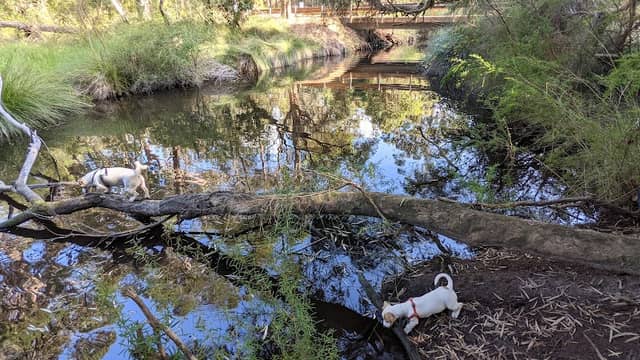 King Harry Park - Image 1