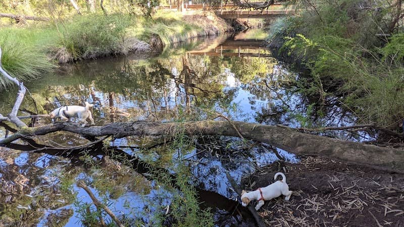 King Harry Park - Image 1