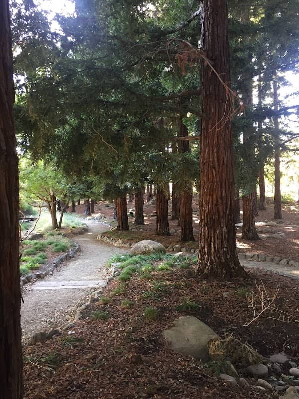 Jack Hume Grove - Image 1