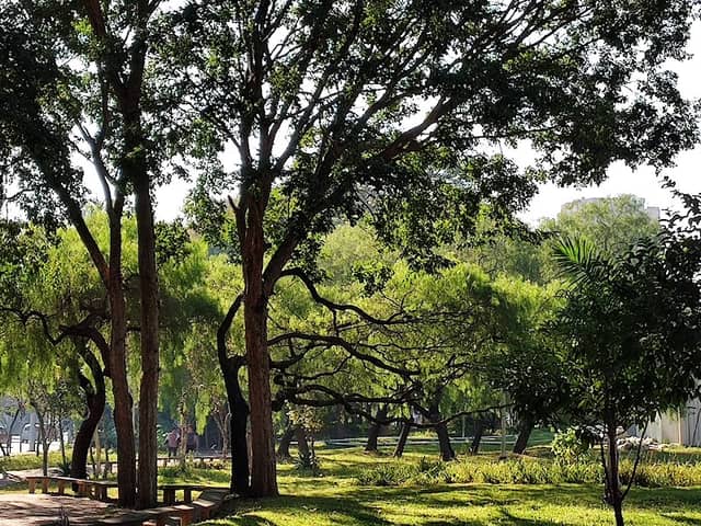 Parque IV Centenário - Image 3