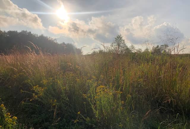 Lost Creek Wetlands - Image 1