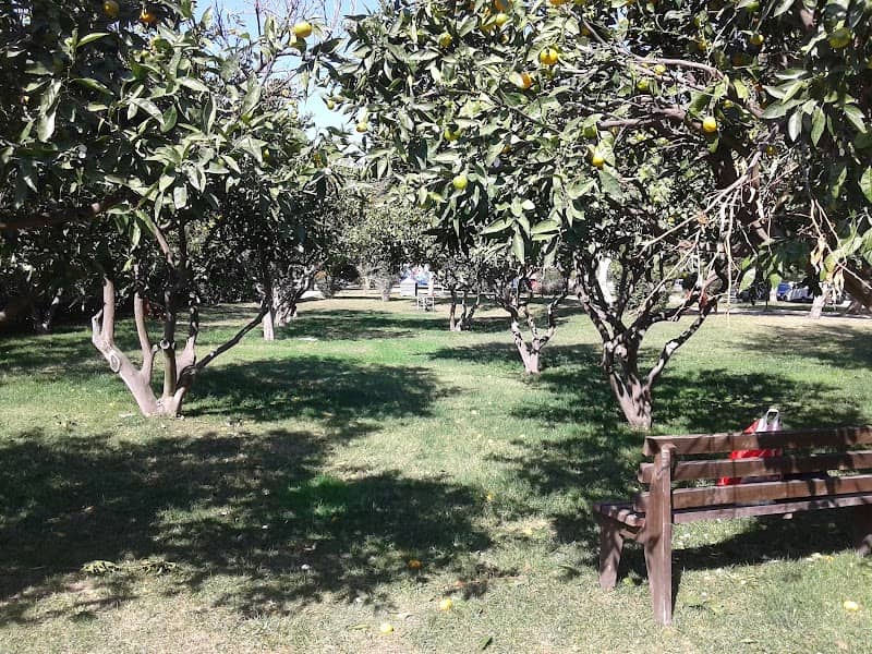 Alkan Parkı - Image 1