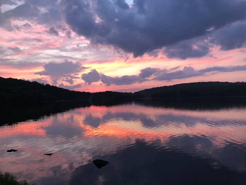 Swan Lake Park - Image 1