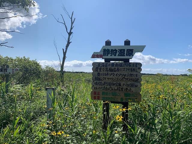 Shizukari shitsugen marsh - Image 1