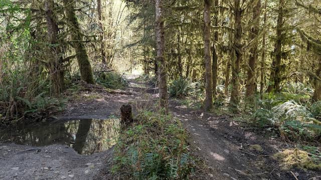 Foothills Trail Access Point - Image 1
