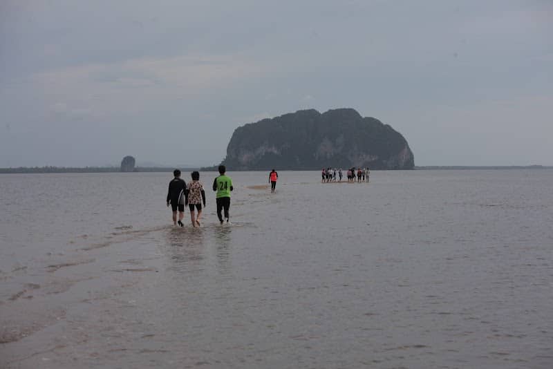 ทะเลแหวก (สันหลังมังกรเหลือง) - Image 1