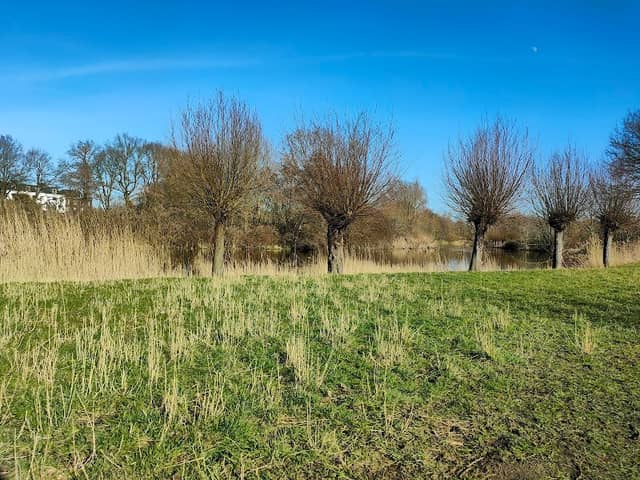 Looierspark - Image 1