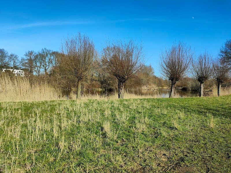 Looierspark - Image 1