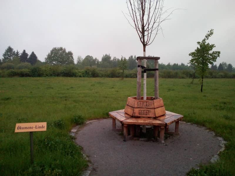 Ökumenen Linde - Image 1