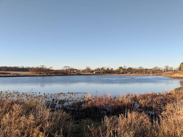 Chippewa Inlet Trail North - Image 1