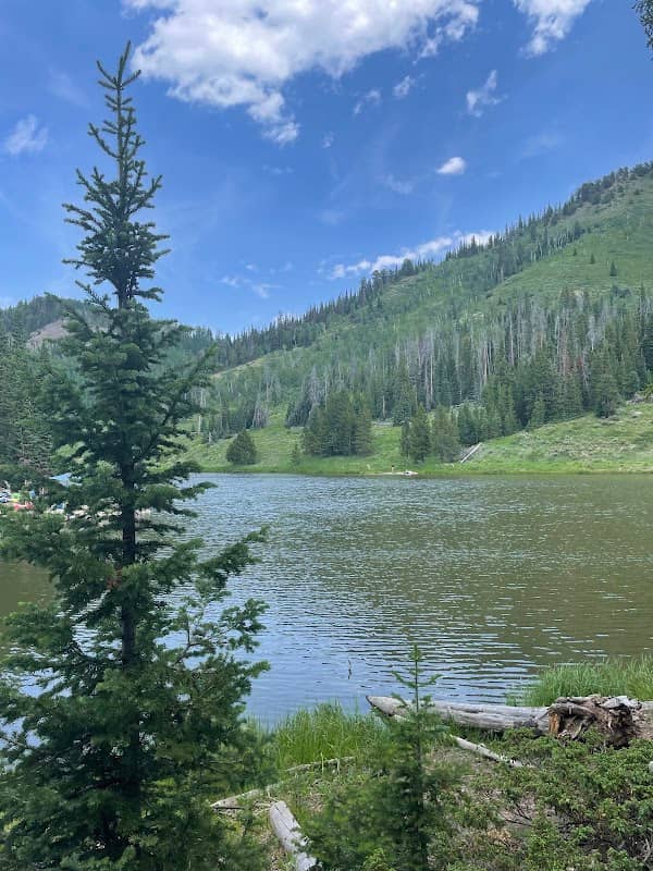 Hahns Peak Lake Picnic Site - Image 2