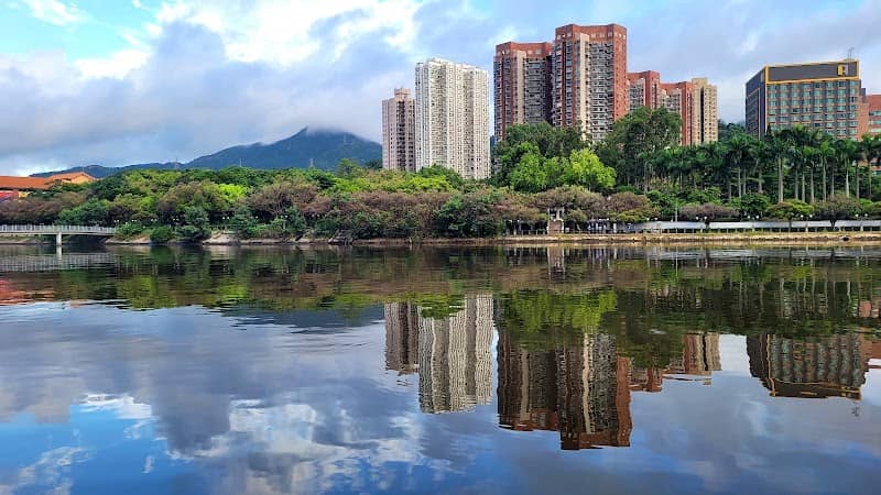 Shing Mun River Promenade Garden No. 1 - Image 2