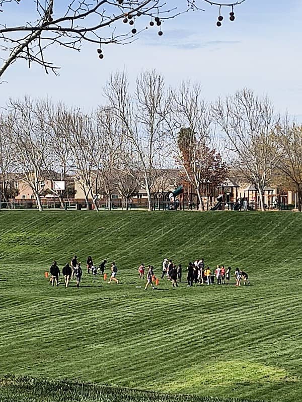 Silva Park - Image 1