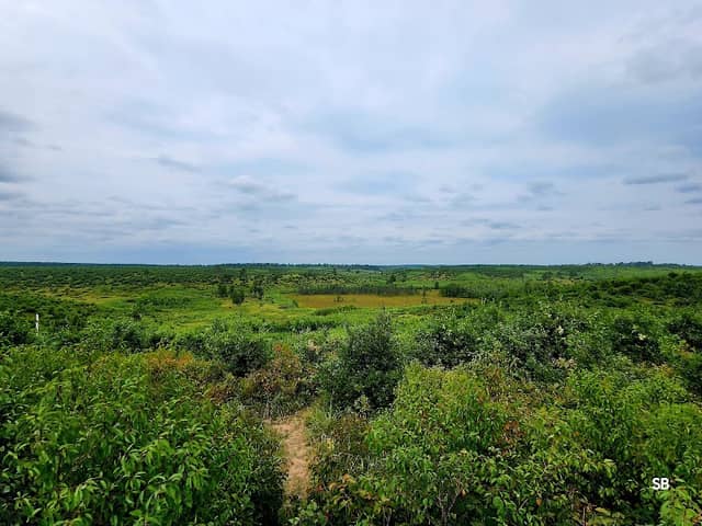 Scenic Overlook - Image 1