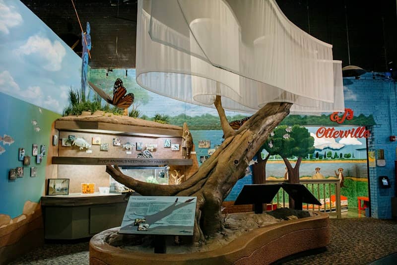 River Discovery Center - Image 2