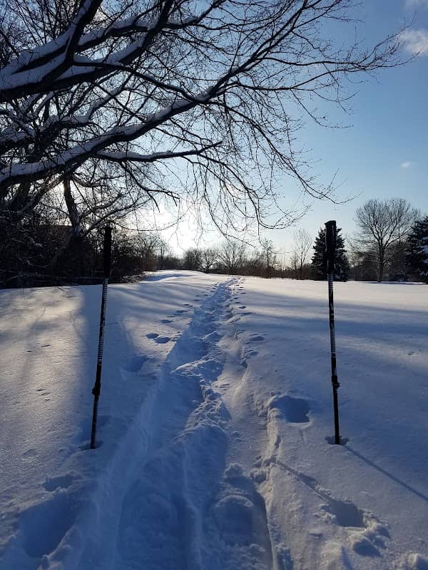 Fred Richards Park - Image 2