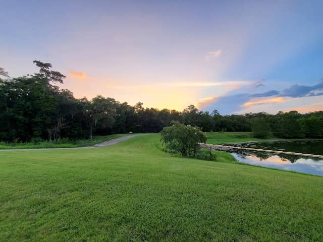 Anita L. Davis Preserve at Lake Henrietta Park - Image 2