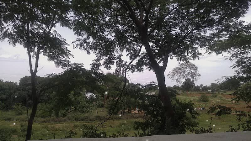 Somanayakkanpatti Yelagiri Park - Image 1