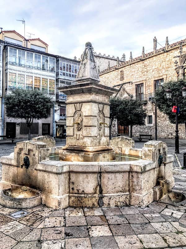Fuente de la Plaza de la Libertad - Image 2