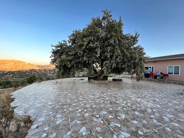 مزرعة محمود البسطامي - Image 1