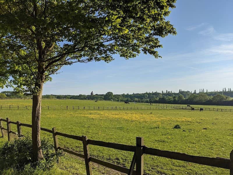 Horton Country Park - Image 2
