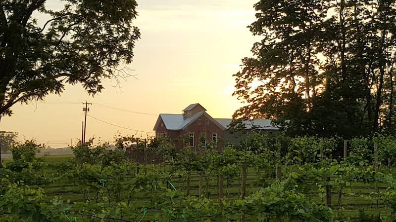 Olde Schoolhouse Vineyard & Winery - Image 1