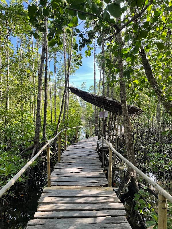 Bakhawan Ecopark Wooden Footbridge - Image 1