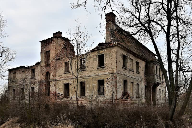 Pałac w Studzieńcu - ruiny - Image 1