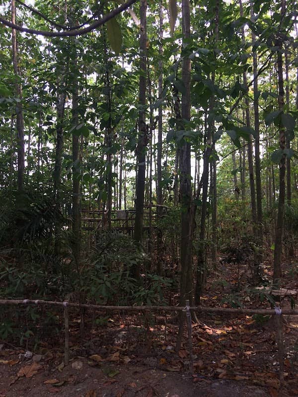 Kampung Wisata Jati Pinang - Image 2