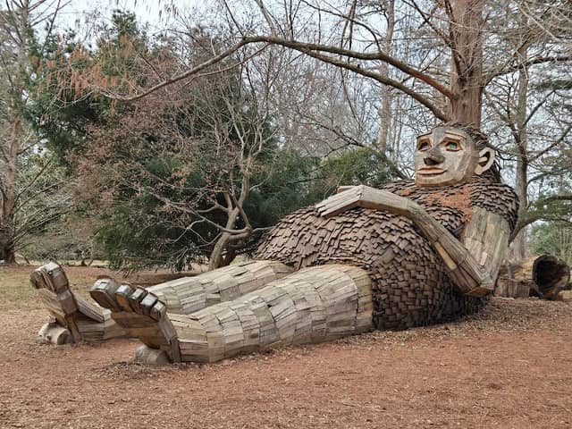 Bernheim Forest and Arboretum - Image 2