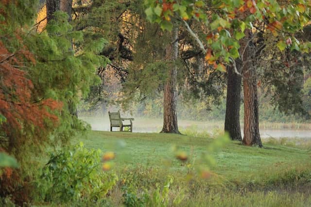 Bernheim Forest and Arboretum - Image 1