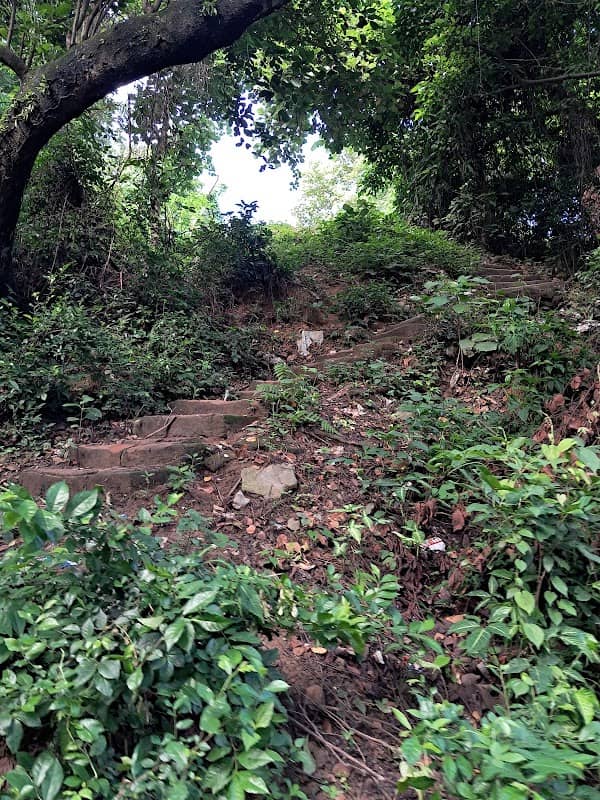 Surson Road Hill - Image 3
