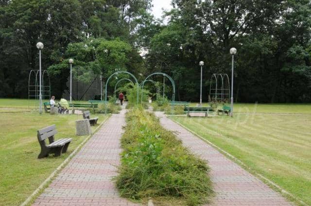 Park Strzelnica - Image 1
