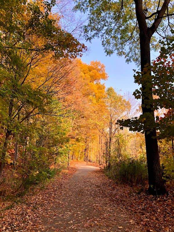 Oakville Park - Image 2