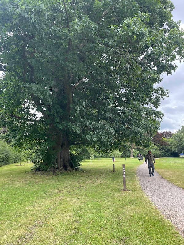 Burnham Park - Image 2